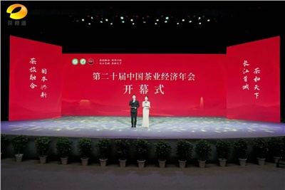 【聚焦第二十屆中國茶業(yè)經濟年會】益陽茶廠榮獲“民族團結互助企業(yè)”、“2024年度茶業(yè)重點企業(yè)”榮譽稱號